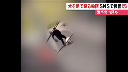 【京都】“女性が飼い犬を蹴る”動画SNSで拡散 警官出動も…飼い主「ペットショップに教えられてるしつけをした」犬は無事保護★2