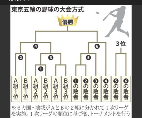 【野球】＜２０２８年ロス五輪も“野球復活”は絶望的＞「このままでは、五輪野球は来年の東京が見納めとなるしかない」